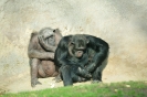 ZOO Barcelona_14