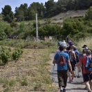 Caminada a les Gatelletes (Pla de Manlleu)