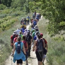 Caminada a les Gatelletes (Pla de Manlleu)