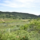 Caminada Gatelletes_19