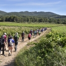 Caminada Gatelletes_1