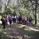 Caminada Gatelletes_23