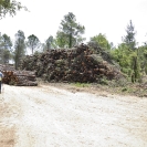 Caminada Gatelletes_30