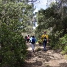 Caminada Gatelletes_8