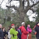 Sant Joan de la Maçana_15