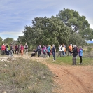 Sant Joan de la Maçana_18