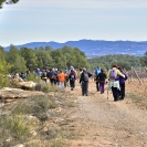 Sant Joan de la Maçana_19