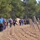 Sant Joan de la Maçana_20