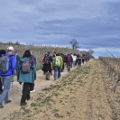 Sant Joan de la Maçana_26