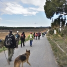 Sant Joan de la Maçana_6