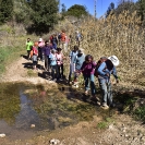 Castell de Mediona_6