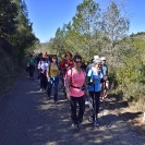 Castell de Mediona_7