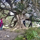 Caminada al Montgròs del Garraf