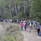 EcoSantCugat 2016_14