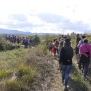 EcoSantCugat 2016_16