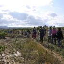 EcoSantCugat 2016_17