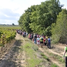 EcoSantCugat 2016_19