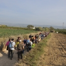 Caminada EcoFira Sant Cugat 2016