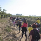Caminada EcoFira Sant Cugat 2016