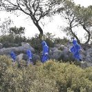 Caminada infantil 2016