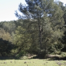 Caminada Infantil 2017_45