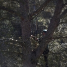 Caminada Infantil 2017_46