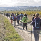 Caminada Marató TV3 2016
