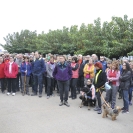 Caminada Marató TV3 2016