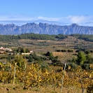 Caminada Marató TV3 2018