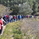 Caminada Masarbonés_15