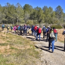 Caminada Masarbonés_16