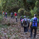 IV Caminada en solidària en benefici de la marató de TV3 