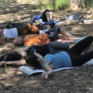 Meditanatura 2017 Ioga