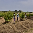 MeditaNatura 2018_23