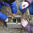 Seguiment caixes niu febrer 2017