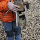 Seguiment caixes niu febrer 2017