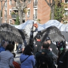 Fira del Gall 2016 Cercavila_22