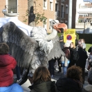 Fira del Gall 2016 Cercavila_23