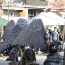 Fira del Gall 2016 Cercavila_24