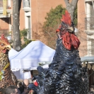 Fira del Gall 2016 Cercavila_37