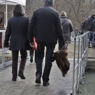 Fira del Gall 2016_2