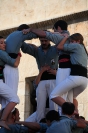 5 de 8 Castellers de Sants Tots Sants 2012