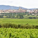 Erminta de la Mare de Déu de la Bleda